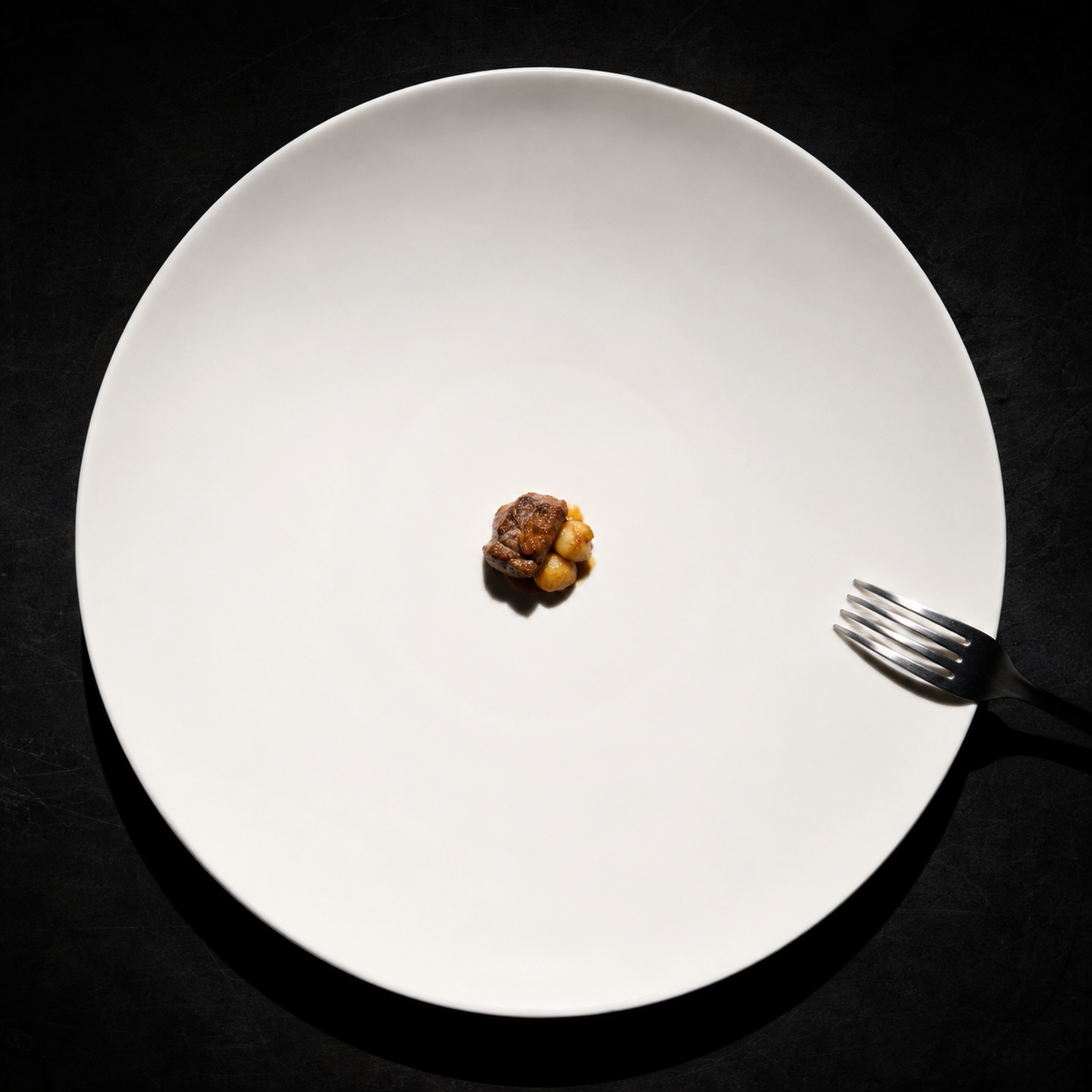 The modern plate